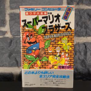 Guide Super Mario Bros. (01)